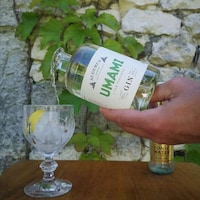 Parmesan Cheese-Infused Gins Image 2