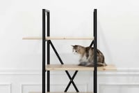 Hybrid Feline-Friendly Furniture Image 1