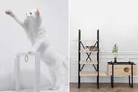 Hybrid Feline-Friendly Furniture Image 2