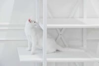 Hybrid Feline-Friendly Furniture Image 3