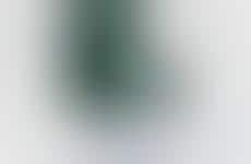 Trackable Passport Wallets