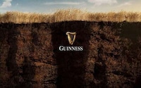 Regenerative Beer Agriculture Programs Image 1