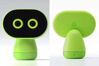 Educational Language Learning Robots Image 8