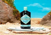 Salty Seaside-Inspired Gins Image 1