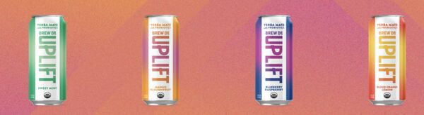 Brew Dr. Kombucha Releases a High-Quality Yerba Mate Line of Tasty Natural  Energizers 