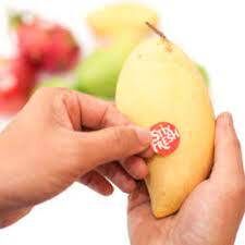Food Longevity Stickers