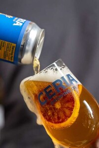 Tasty Alcohol-Free Beers Image 1