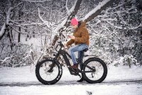 All-Season Urbanite Electric Bikes Image 5
