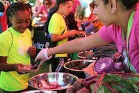 Accessible Healthy Food Initiatives