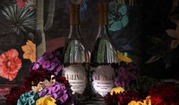 Mexican Agave Spirits Image 1