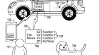 Pet-Friendly Vehicle Features