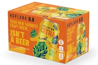 Dry-Hopped Non-Alcoholic Brews Image 1