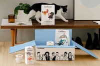 DTC Cat Lifestyle Brands Image 2