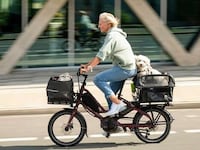 Compact Cargo-Ready Electric Bikes Image 2