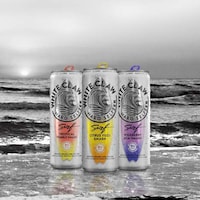Flavor Fusion Seltzers