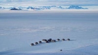 Antarctica Glamping Experiences