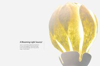 Aroma Diffuser Lamps Image 6
