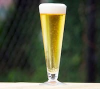 Effervescent Polish Lagers