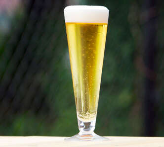 Effervescent Polish Lagers