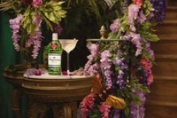 Regency Gin Campaigns Image 2