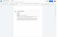 Professional Email Draft Features