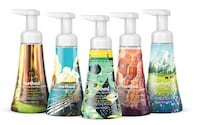 National Park-Inspired Soaps Image 1