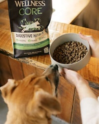 Pet-Focused Plant-Based Recipes Image 1