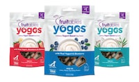 Yogurt Roll-Up Dog Treats