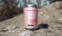 Probiotic Beer Innovations Image 1