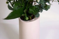 Speaker-Equipped Flower Vases Image 3
