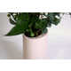 Speaker-Equipped Flower Vases Image 3