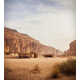 Ancient Oasis Desert Hotels Image 5
