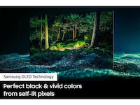 High-End Upscaled Televisions Image 1