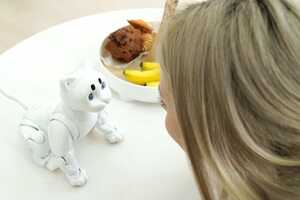 Autonomous AI-Powered Robot Cats : Macroact 'Maicat'