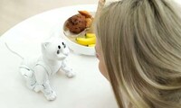 Autonomous AI-Powered Robot Cats Image 1