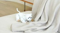 Autonomous AI-Powered Robot Cats Image 2