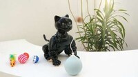 Autonomous AI-Powered Robot Cats Image 3