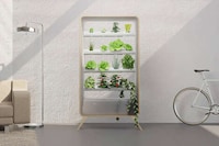 Furniture-Inspired Indoor Gardens Image 1