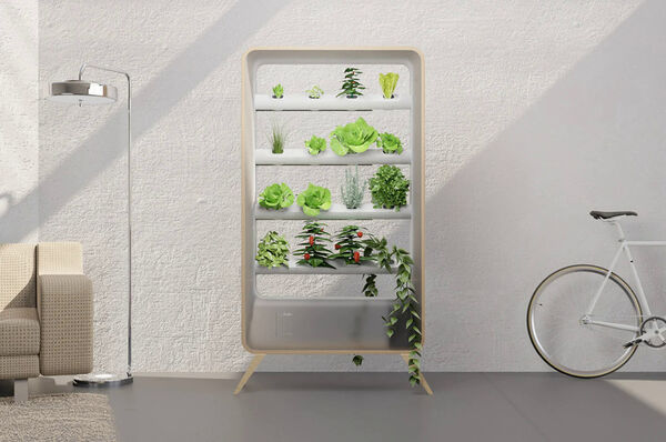 Furniture-Inspired Indoor Gardens