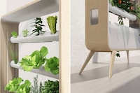 Furniture-Inspired Indoor Gardens Image 4