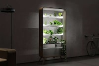 Furniture-Inspired Indoor Gardens Image 5