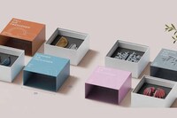 Seasonally Adaptive Air Purifiers Image 6
