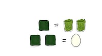 Edible Frozen Microalgae Image 2
