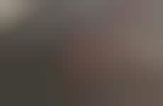 Sustainable Aquatic Leathers