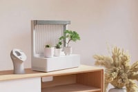 Minimalist Purifying Planters Image 2