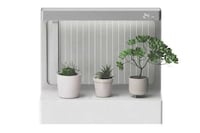 Minimalist Purifying Planters Image 7