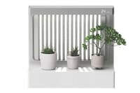 Minimalist Purifying Planters Image 8