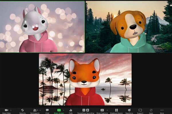 Cartoonish Video Calling Features