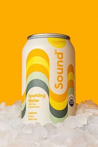 Herbaceous Citrus Sparkling Waters Image 2