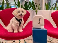 Wearable Dog Treat Dispensers Image 2